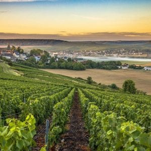 Autobussen Cannaerts-wordt-champagne-expert