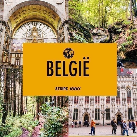 teambuilding a la carte