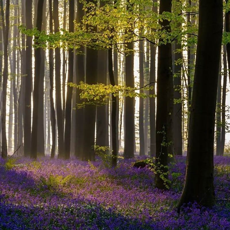 Pajottenland - teambuilding by autobussencannaerts.be