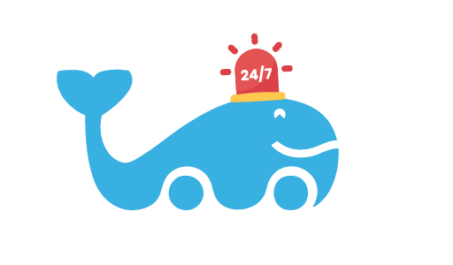 Dringend vervoer autobussen