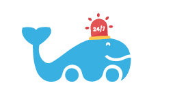 dringend vervoer autobussen cannaerts